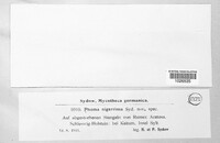 Image Associated With the Occurence